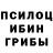 Псилоцибиновые грибы Magic Shrooms orest biba