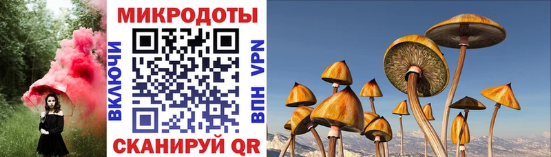 где можно купить наркотик  Вологда  Галлюциногенные грибы ЛСД 