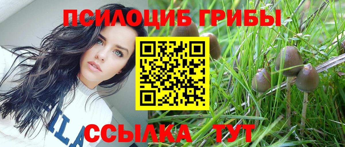 Псилоцибиновые грибы Magic Shrooms  где продают   Вологда  Вход с VPN 